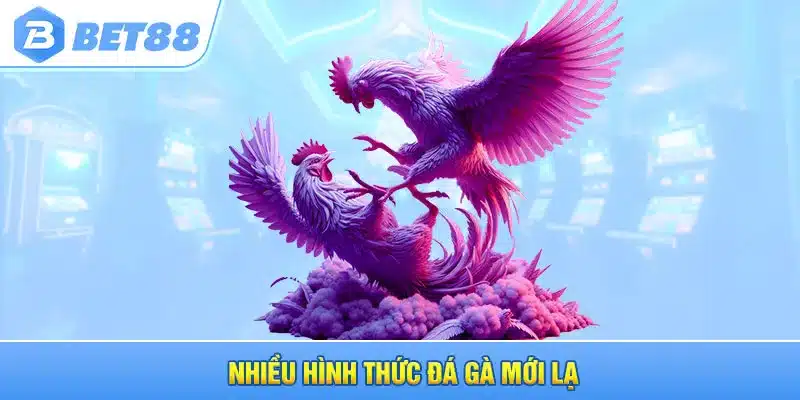 Nhiều hình thức đá gà mới lạ