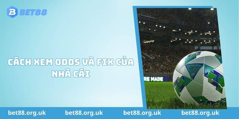 Bật Mí Cách Xem Odds Và Fix Của Nhà Cái BET88