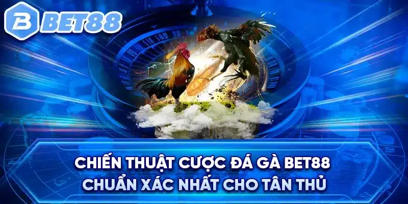 Chiến thuật cược đá gà BET88 chuẩn xác nhất cho Tân thủ