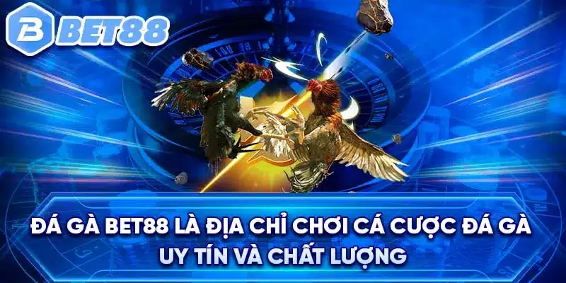 Đá gà Bet88 là địa chỉ chơi cá cược đá gà uy tín và chất lượng