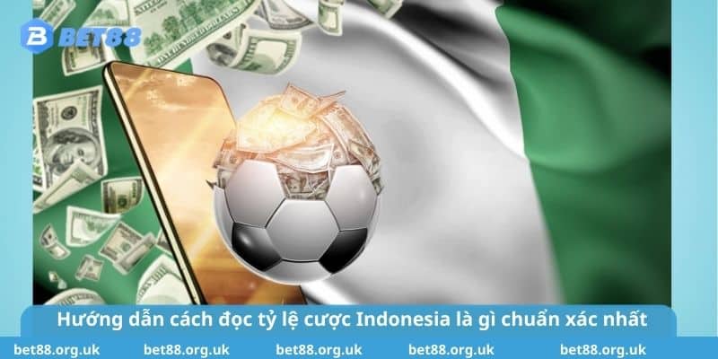 Hướng dẫn cách đọc tỷ lệ cược Indonesia là gì chuẩn xác nhất