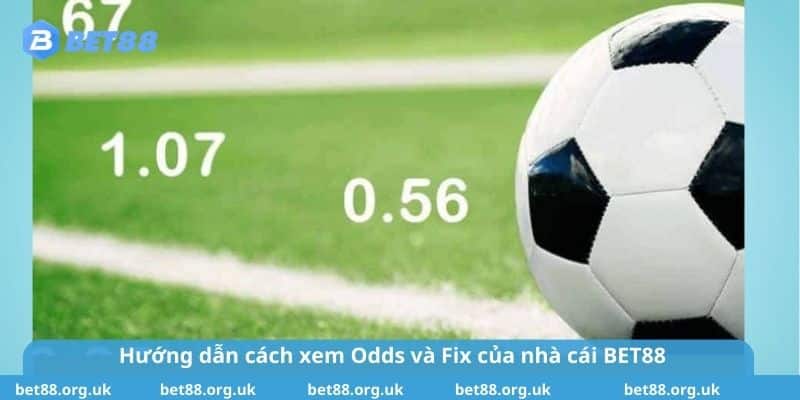 Hướng dẫn cách xem Odds và Fix của nhà cái BET88