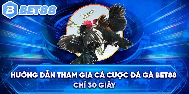 Hướng dẫn tham gia cá cược đá gà Bet88 chỉ 30 giây