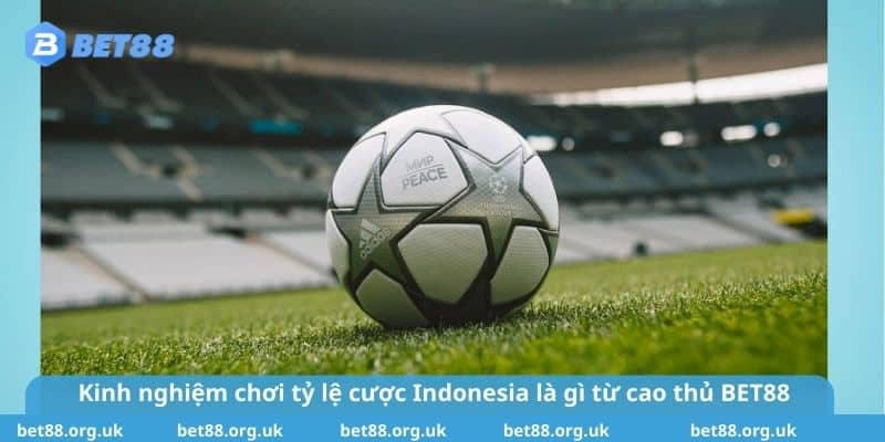 Kinh nghiệm chơi tỷ lệ cược Indonesia là gì từ cao thủ BET88