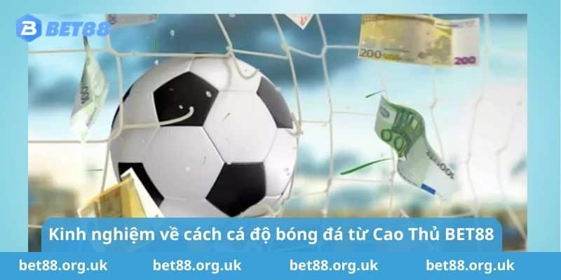 Kinh nghiệm về cách cá độ bóng đá từ Cao Thủ BET88