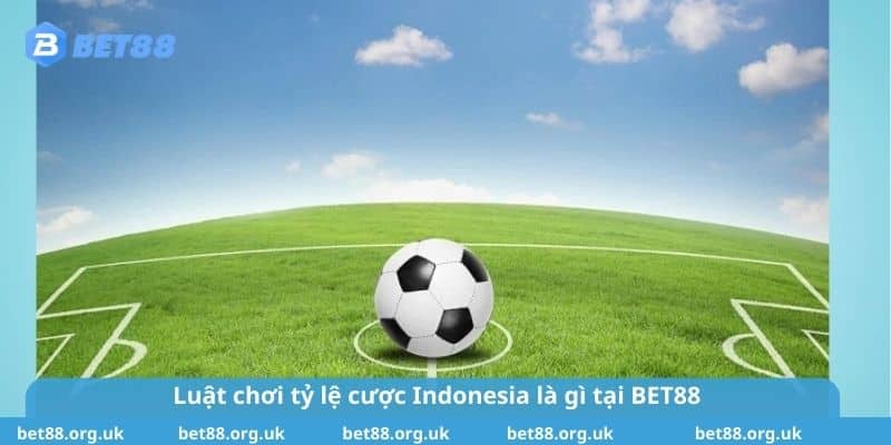 Luật chơi tỷ lệ cược Indonesia là gì tại BET88 bạn nên biết 